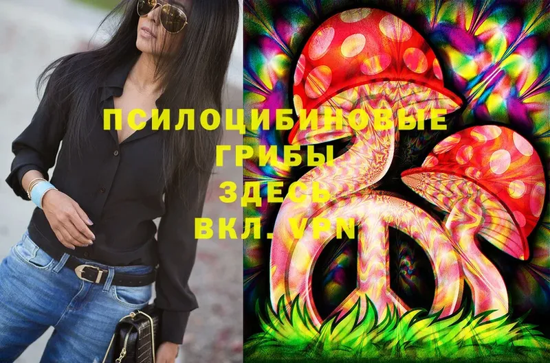 как найти   Иннополис  Псилоцибиновые грибы Psilocybe 